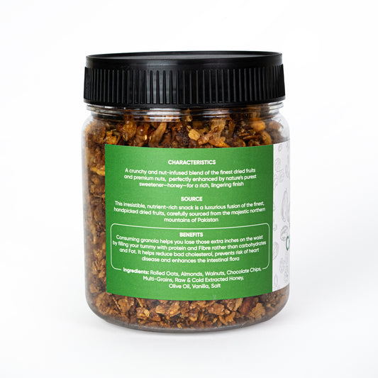 Granola – Choconola (Small)